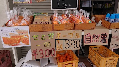 ENEOS 世羅中央 SS (田中石油)