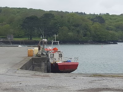 photo of Cork Whale Watch