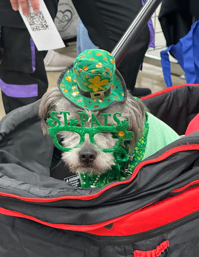 Super Pet Expo - Edison (NJ) and Chantilly (VA) - Thumbnail