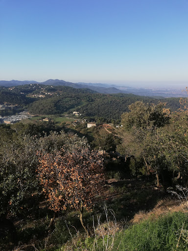 ZELSA - Visual