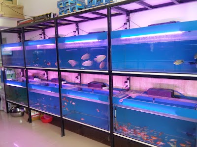 Photos of Rattanak Aquarium Fish Shop