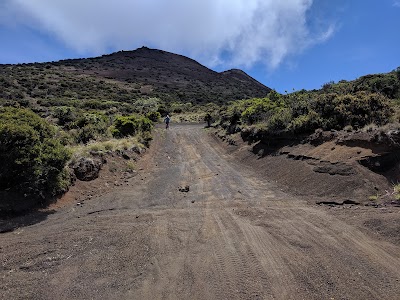 Kula Forest Reserve