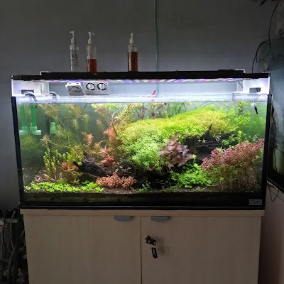 Photos of Kedai Scapers