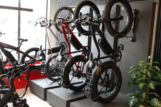 Ebikecan - Visual