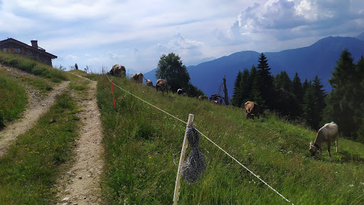 Monte Corniolo - Visual