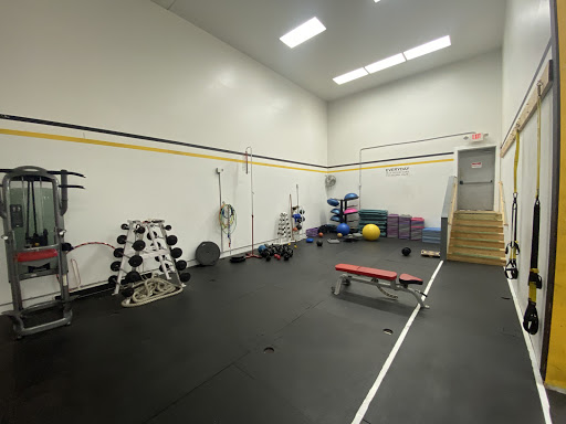 Willy's Gym - Visual