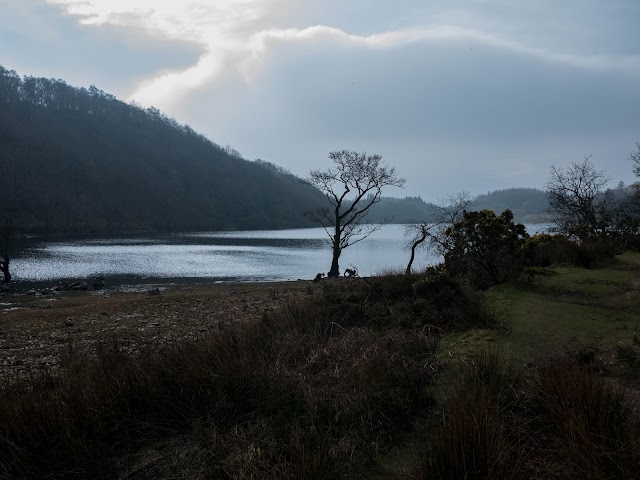 Precipice Walk