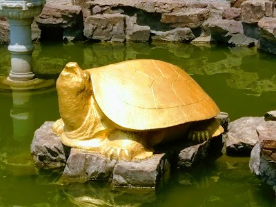 Photos of Swan Beak Park