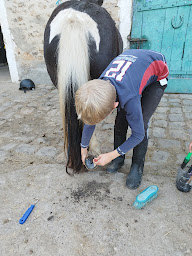 Photo n°31 de CENTRE EQUESTRE PONEY CLUB DE RAMBOUILLET à Rambouillet (Centre équestre)