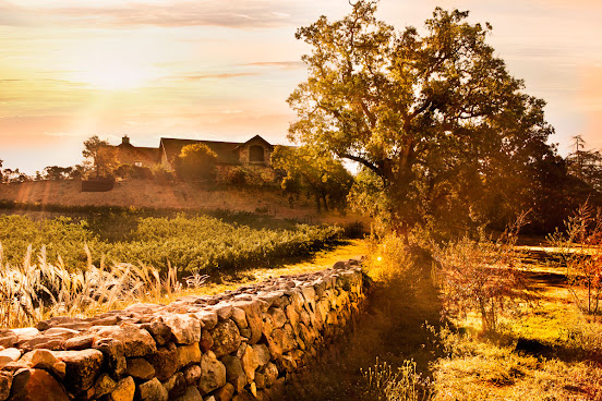 Cardinale Estate by null