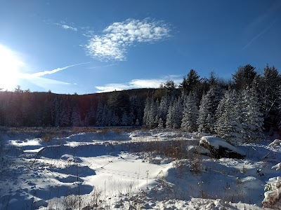 Chabad of Vermont