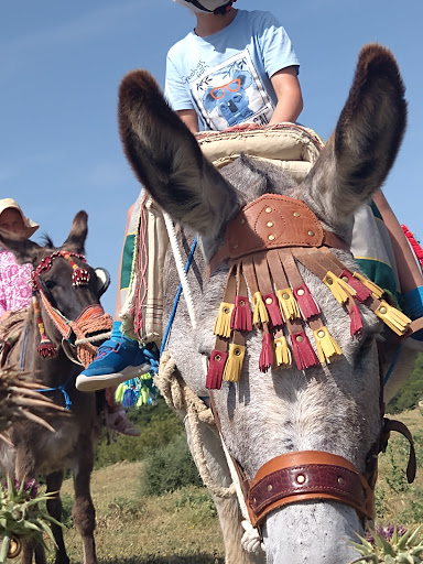 Los Burros De Juanino