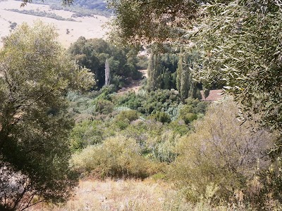 Photos of Santuario Nuestra Se&ntilde;ora De La Luz