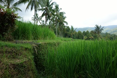 Photos of Aditya Home Stay