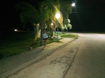 Photos of Hotel Las Palmeras