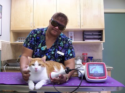Photos of Tomoka Pines Veterinary Hospital