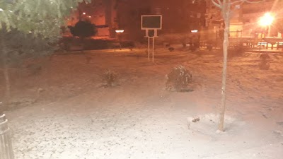 Photos of Niyavaran Park