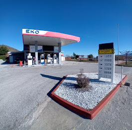 ΕΚΟ ΠΡΑΤΗΡΙΟ ΥΓΡΩΝ ΚΑΥΣΙΜΩΝ LPG ΜΠΡΑΣΙΝΙΚΑΣ ΑΛΕΞΑΝΔΡΟΣ