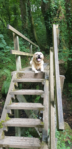 Torbridge Vet Group - Bideford - Thumbnail