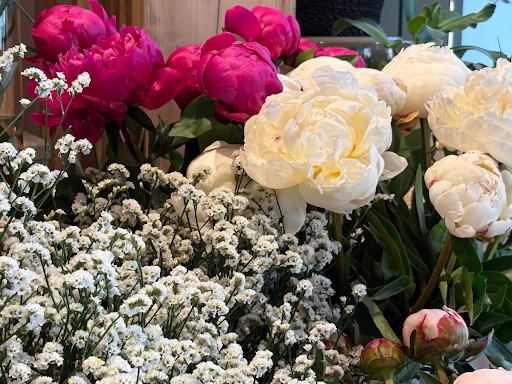 Photo de Fleurs &amp; Terres à Talence (33400)