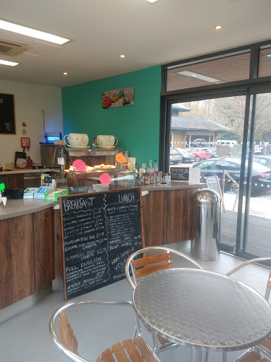 Widewater Cafe - Visual
