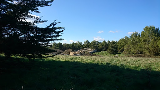 Bosco Del Trullo Di Sopra - Thumbnail