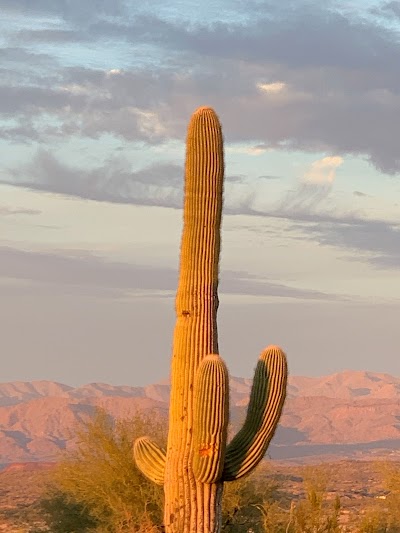 Alamo Lake State Park