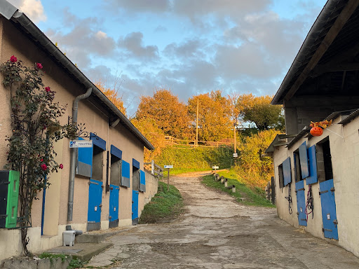 Équitation Mers-Les-Bains - Thumbnail