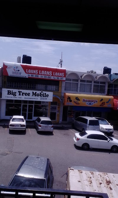 Photos of Big Tree Mobile