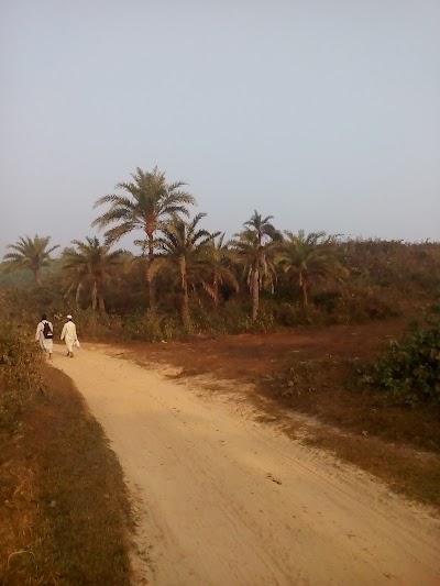 Photos of Mirer Hat Bazar