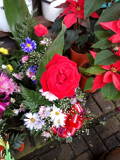Photos of Kiosco Ana