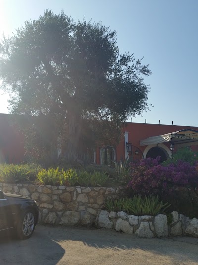 Photos of Hotel Poggio degli Ulivi