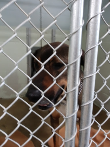 Huron County Humane Society - Thumbnail