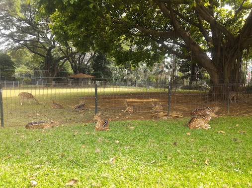 Taman Rusa Kemang Pratama, Author: Eka Saputra