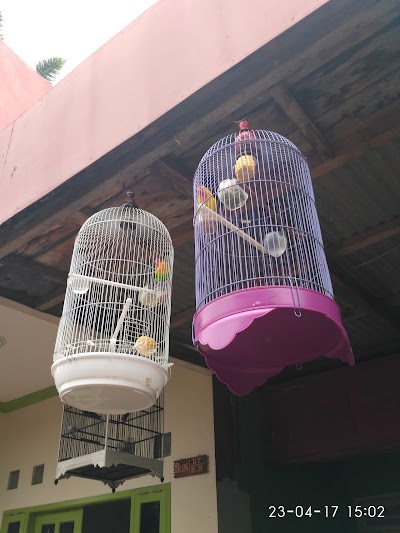 Photos of Rumah_Burung _Sayang_Manuk