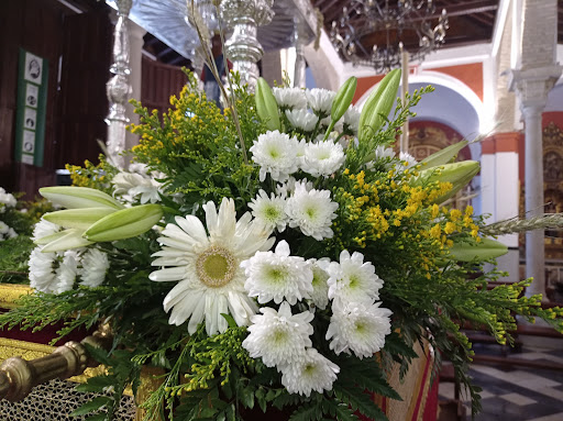 Floristería Salviflor - Thumbnail