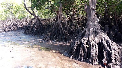 Photos of Funzi Island