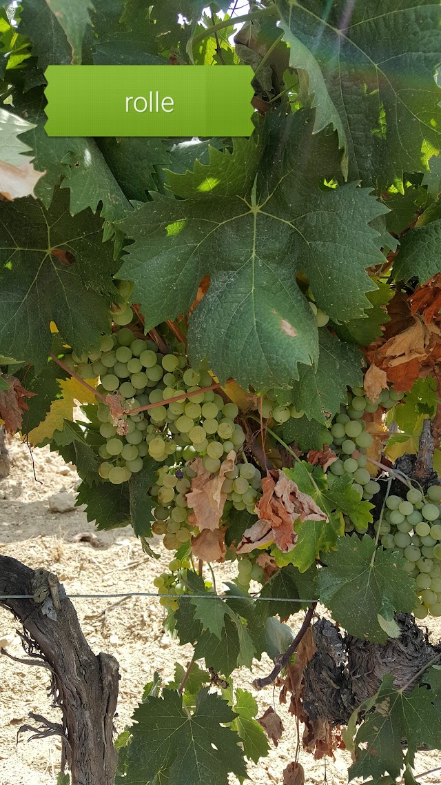 Château la Dorgonne