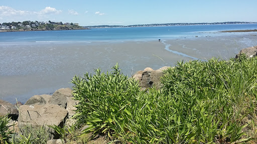 Nahant Associates Inc - Thumbnail
