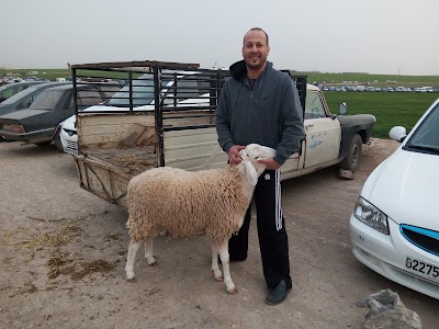 Photos of Souk des voitures et moutons
