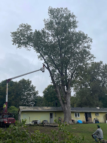 ToolnAround Tree Service