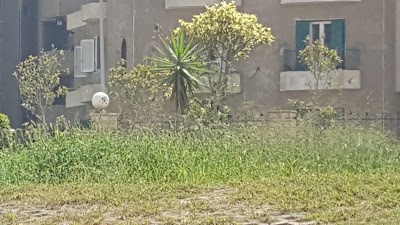 Photos of Tumors Hospital And Institute Of First Settlement