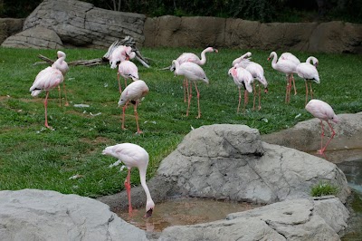 Oakland Zoo