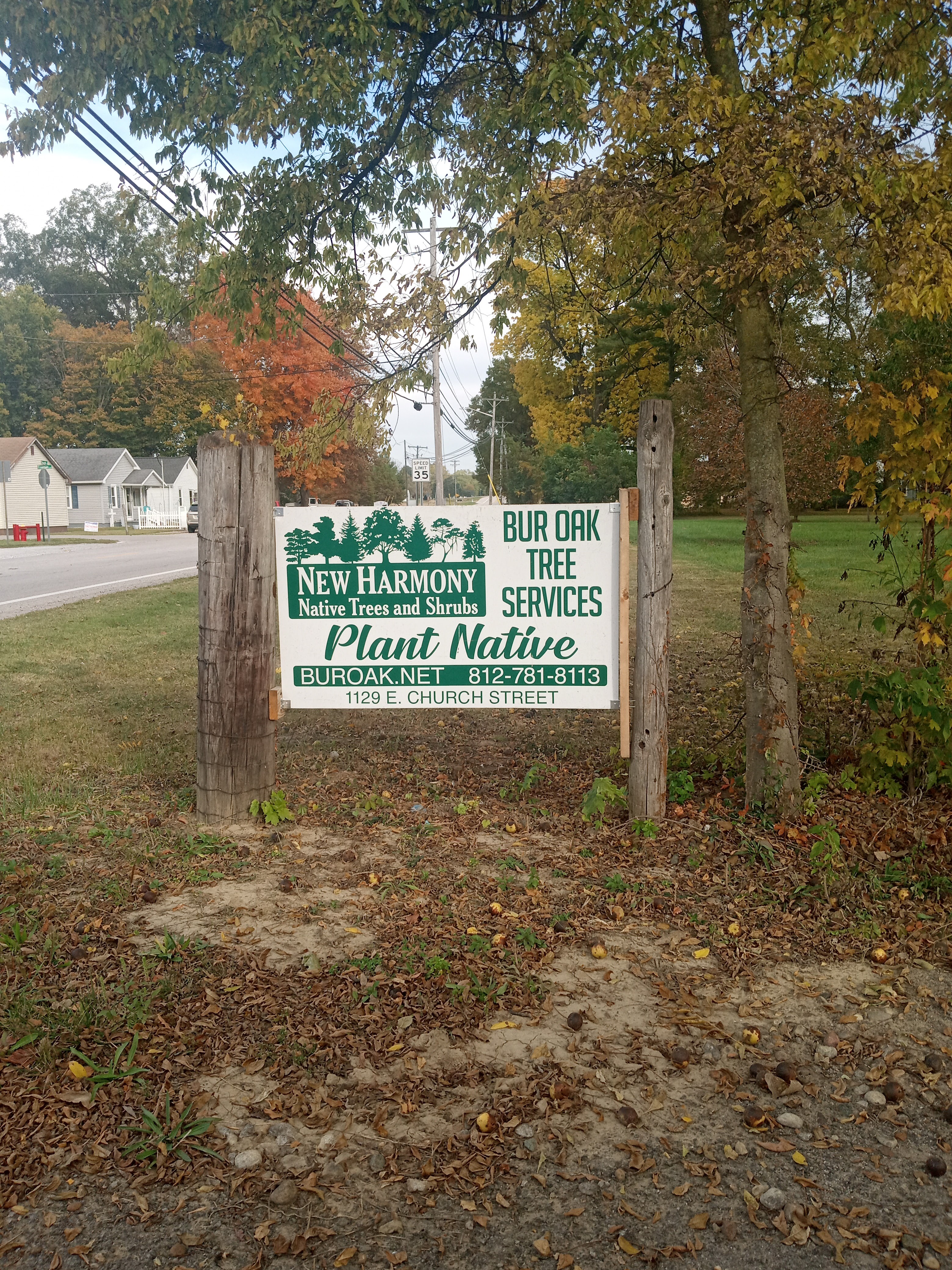 New Harmony Native Trees and Shrubs