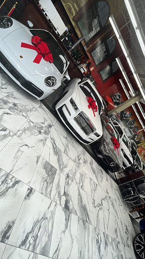Max Exotics - Visual