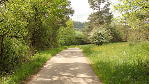 Naturdenkmal Tiefenbronner Weg - Thumbnail