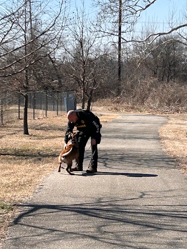 Cruse Dog Park - Thumbnail