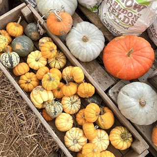 The Farm at Farndon Fields