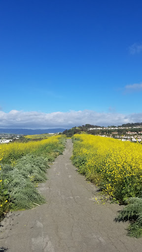 Knob Hill - Thumbnail