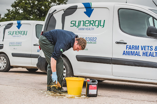 Synergy Farm Health Vets - Thumbnail
